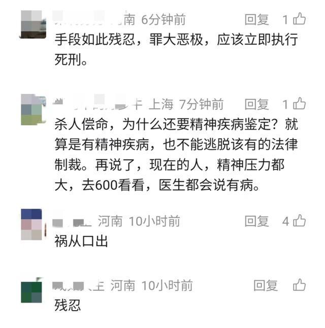 只因一条评论怀胎7月孕妇与婆婆惨遭杀害 行凶者发声